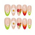 Rainbow Daisies